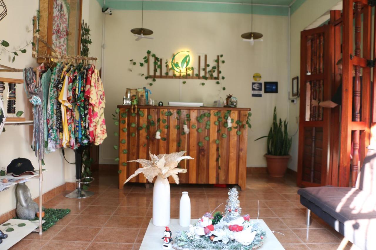 Candileja Hostel Jardin Ngoại thất bức ảnh